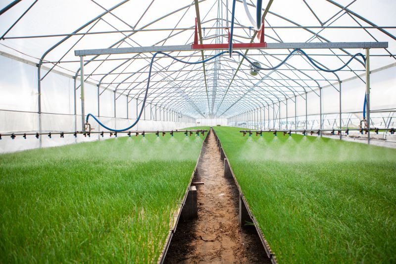 Underground Irrigation Service in Ventura County, CA