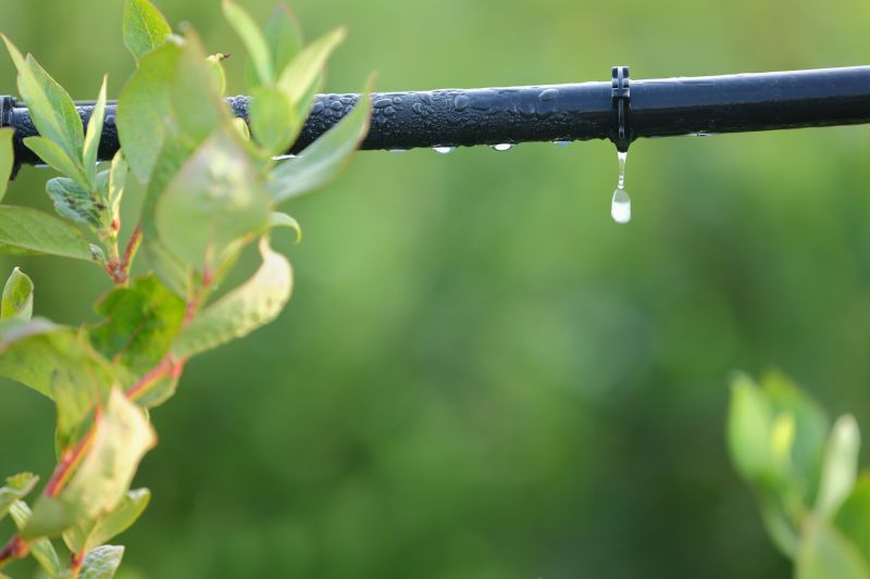 Underground Irrigation Service in Aiken, SC